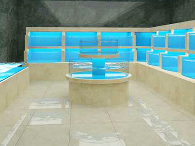 Bloque de Acrílico Transparente