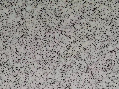 Plancha de Acrílico Decorativa